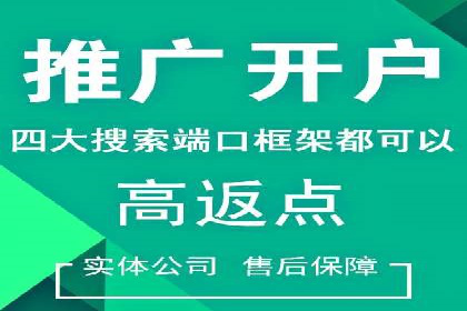 SEM推广优化策略：实战案例分析